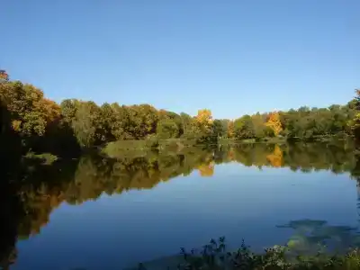 Парк-отель Ершово - 82