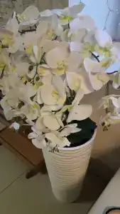 Арена Минск - 36