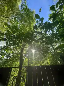 Lel Eko-Kompleks - 22