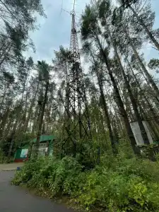 Sol Zhdanovets - 4