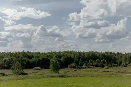 Eko-otel Mordasovo - 69