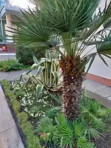 Baza Otdykha Adler - 33