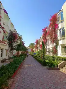 MinaMark Beach Resort for Families and Couples Only - 2