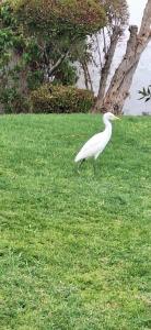 Mercure Hurghada - 33