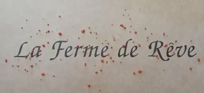 La Ferme de Reve - 77