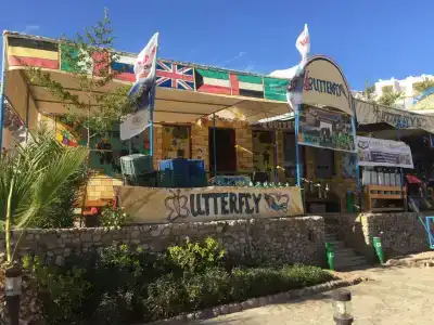 Shark Bay Oasis - 17