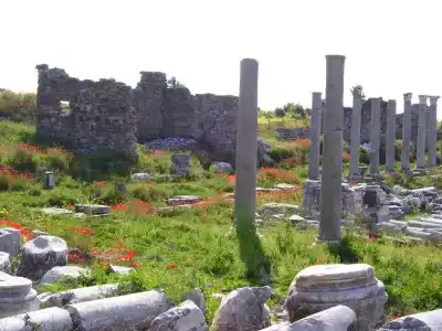 Begonville Apart - 37