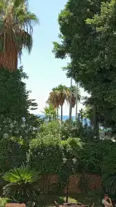 Antik Garden - All Inclusive - 87