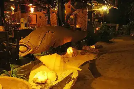 Viking Nature Resort - 7