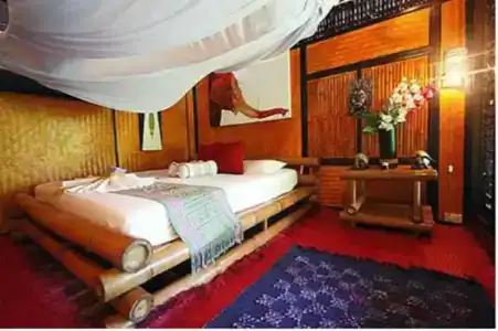 Viking Nature Resort - 99