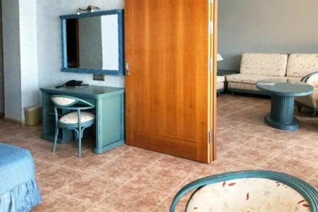 Kaktus Kaktus Albir - 52