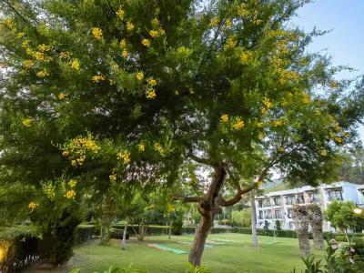 Green Bay Resort & Spa - 32