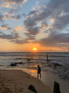 Cool Beach - 2