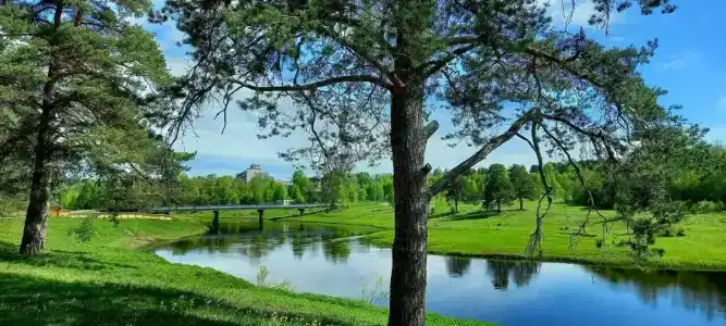 Mitino Health Resort - 31