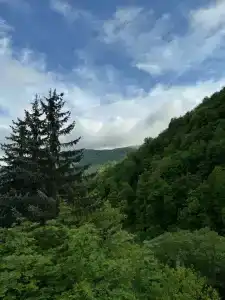 Daravand Guest House - 1