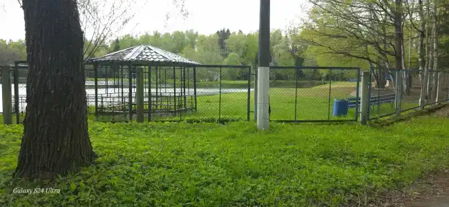 Санаторий Солнечногорский Минобороны России - 61