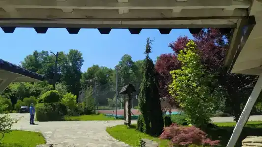 Zagorodny Klub Kura Tse Tse - 24