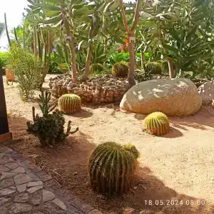 Tamra Beach Resort - 45