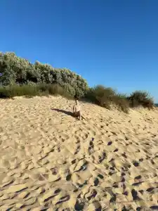 Karo Recreation center - 13