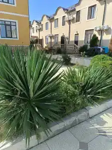 Calipso Palace Tourist base - 6