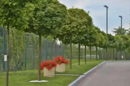 M’Istra’L Apart-Hotel - 45