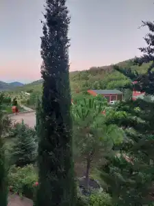 Uchebno-ozdorovitelnyy etnokulturnyy tsentr Svetoch - 50