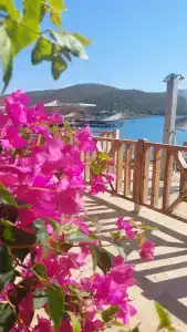 Green Bay Resort & Spa - 9