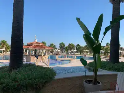 Cocos the Club Solto - 25