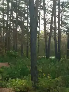 Sanatoriy-Profilaktory Olkhovka - 63