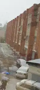 Роза Ветров - 10