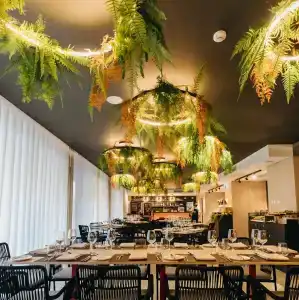 Ikyk- IK Collection - 2