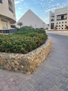 Blend Club Aqua Resort - 41