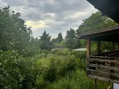 Akalam kantri klab - 28