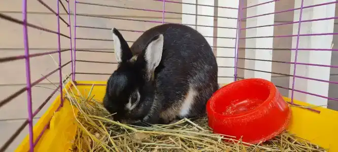 ZaGrad Tourist base - 91