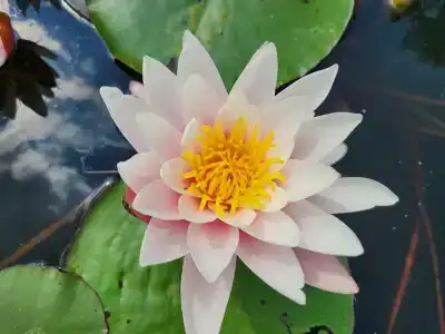 Berezinskaya Dubrava - 58