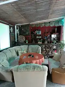 Snezhnyy Bars - 19