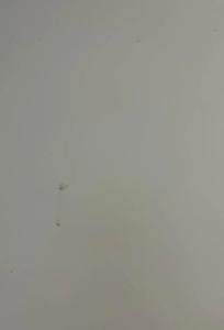 Камыши база отдыха - 45