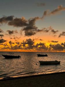 La Pirogue Mauritius - 41