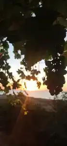 Tihaya gavan na kose Tourist base - 22