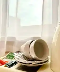 Дон Кихот - 66