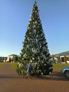 Alex Resort & Spa - 46