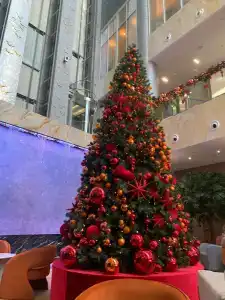 Krasnodar Marriott - 71