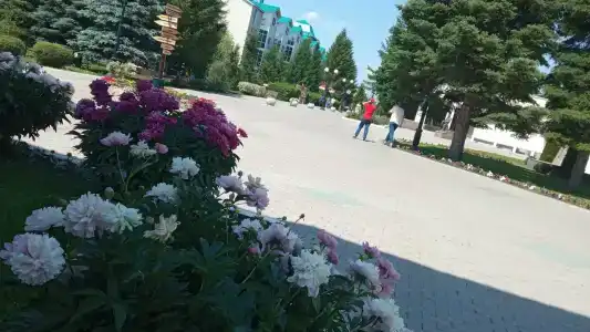 Sanatorium Bakirovo - 54