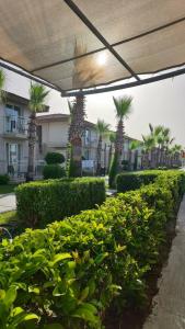 Crystal Boutique Beach Resort - Adults Only - 22