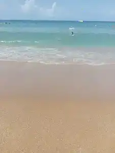 Antik Garden - All Inclusive - 78