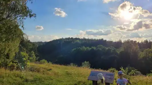 Guest house Karpolov Park - 21