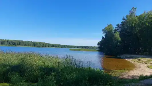 Zaliv - 53
