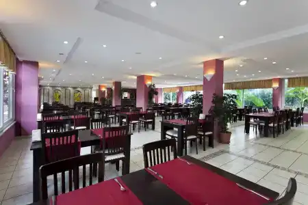 Rose Garden Premium - 32