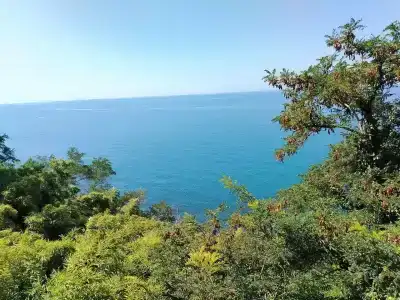 Villa Plaza Guest House - 23