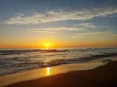 Park-otel Rubas - 26